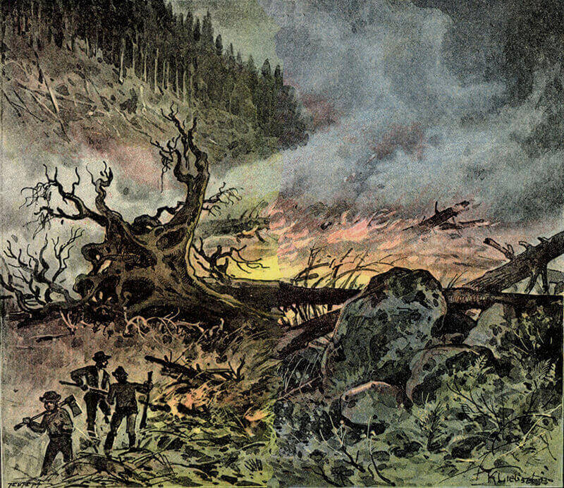 Šumavští dřevorubci zapalují les